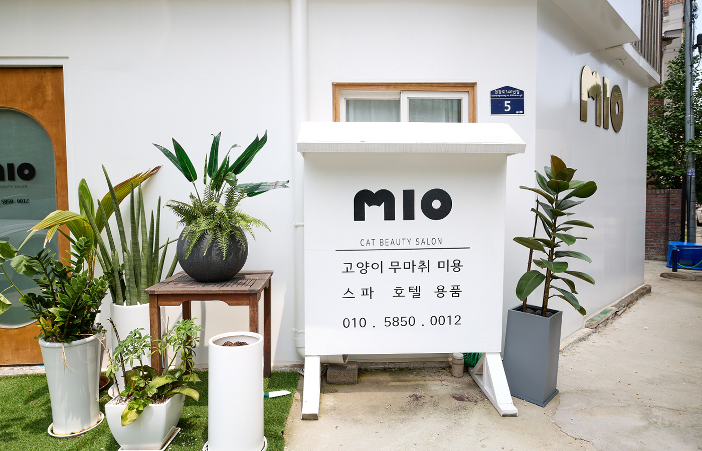 미오 수원점
