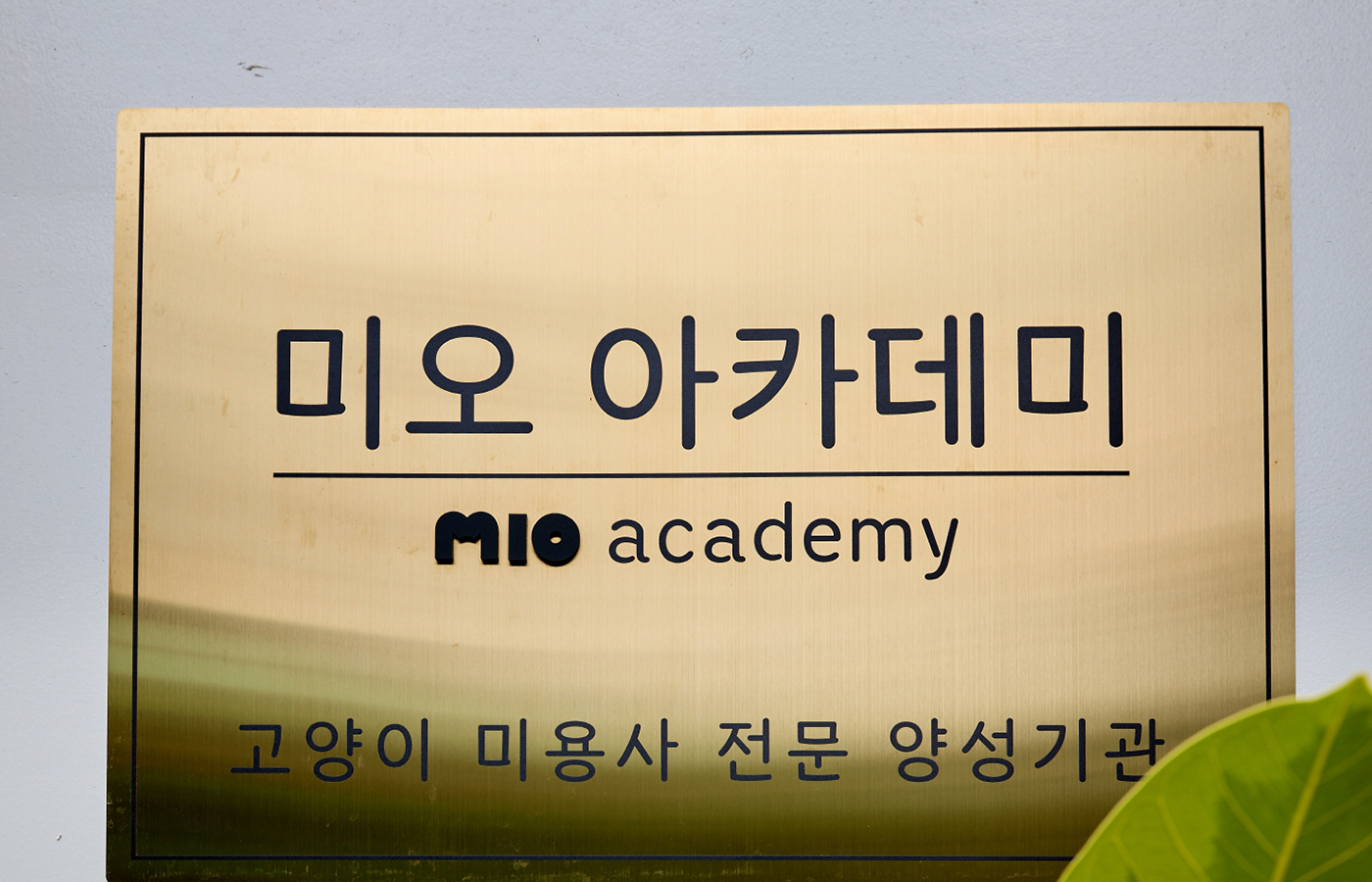 미오 수원점